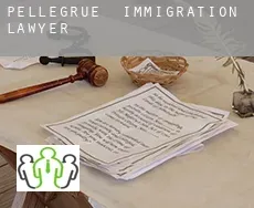 Pellegrue  immigration lawyer