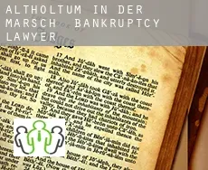 Altholtum in der Marsch  bankruptcy lawyer
