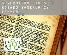 Governador Dix-Sept Rosado  bankruptcy lawyer