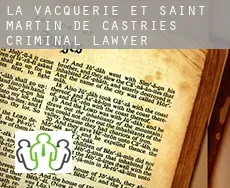 La Vacquerie-et-Saint-Martin-de-Castries  criminal lawyer