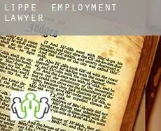 Lippe  employment lawyer