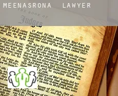 Meenasrona  lawyer