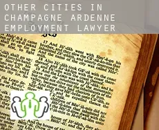 Other cities in Champagne-Ardenne  employment lawyer