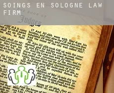 Soings-en-Sologne law firm