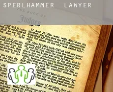 Sperlhammer  lawyer