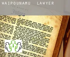 Waipounamu  lawyer