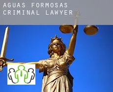 Águas Formosas  criminal lawyer