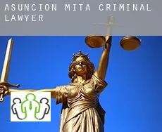 Asunción Mita  criminal lawyer