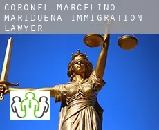 Coronel Marcelino Maridueña  immigration lawyer