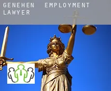 Genehen  employment lawyer