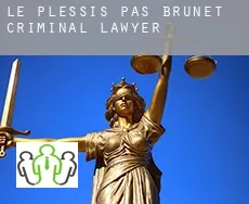 Le Plessis-Pas Brunet criminal lawyer