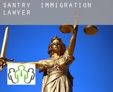 Santry  immigration lawyer
