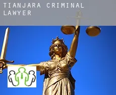 Tianjara  criminal lawyer