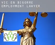 Vic-en-Bigorre employment lawyer
