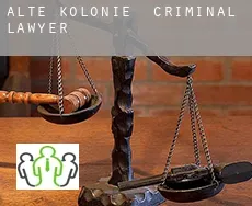 Alte Kolonie  criminal lawyer