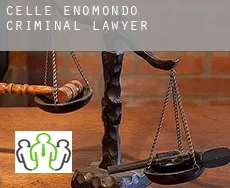 Celle Enomondo criminal lawyer