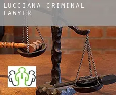 Lucciana criminal lawyer