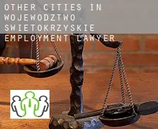 Other cities in Wojewodztwo Swietokrzyskie  employment lawyer