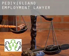 Pedivigliano  employment lawyer