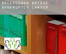Ballycowan Bridge  bankruptcy lawyer