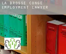 La Brosse Conge employment lawyer