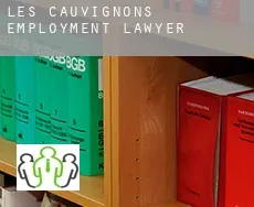 Les Cauvignons employment lawyer