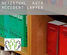 Netzstuhl auto accident lawyer