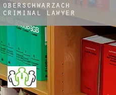 Oberschwarzach criminal lawyer