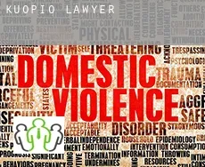 Kuopio lawyer