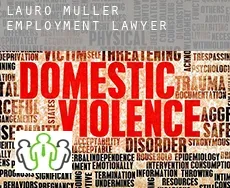 Lauro Muller  employment lawyer