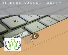 Higuera de Vargas  lawyer