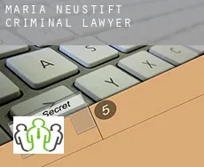 Maria Neustift  criminal lawyer
