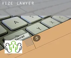 Vize  lawyer