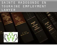 Sainte-Radegonde-en-Touraine  employment lawyer