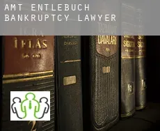 Amt Entlebuch  bankruptcy lawyer