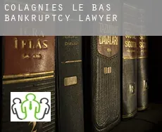 Colagnies-le-Bas  bankruptcy lawyer