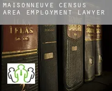 Maisonneuve (census area)  employment lawyer