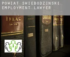 Powiat świebodziński  employment lawyer