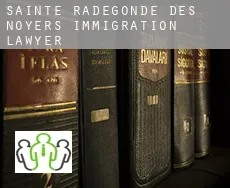 Sainte-Radégonde-des-Noyers  immigration lawyer