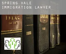 Spring Vale immigration lawyer