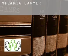 Milaria  lawyer