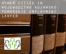 Other cities in Wojewodztwo Kujawsko-Pomorskie  employment lawyer