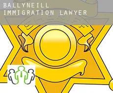 Ballyneill  immigration lawyer