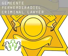 Gemeente Ferwerderadiel  criminal lawyer