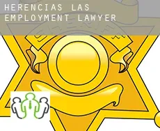 Herencias (Las)  employment lawyer