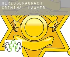 Herzogenaurach  criminal lawyer