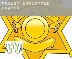 Maulny  employment lawyer