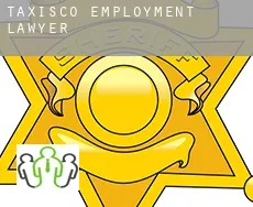 Taxisco  employment lawyer