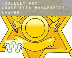 Thuilley-aux-Groseilles  bankruptcy lawyer