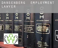 Dansenberg  employment lawyer